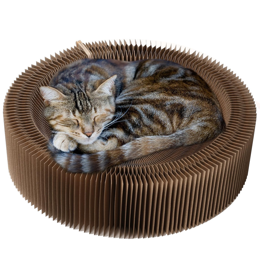 Dosanlues cat scratcher lounge bed outer view shows cozy retreat and sturdy round design