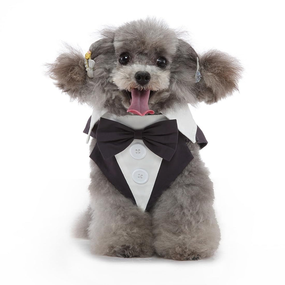 DOTEYAYP Puppy Tuxedo detachable bowtie scene, showcasing versatile dress-up options.
