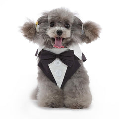 DOTEYAYP Puppy Tuxedo detachable bowtie scene, showcasing versatile dress-up options.