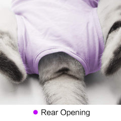 DOTON Cat Recovery Suit in use after surgery helps prevent licking and irritation.