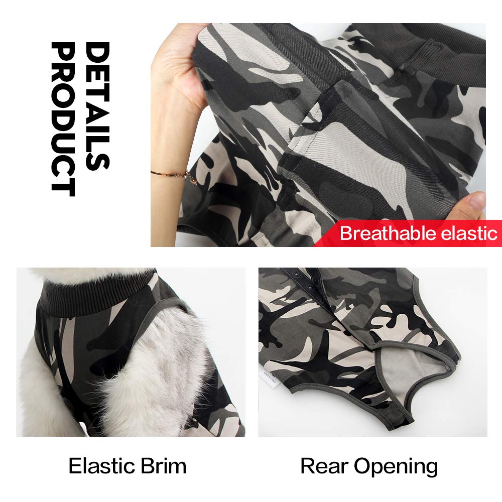 DOTON cat recovery suit on cat demonstrates comfortable post-op wear indoors