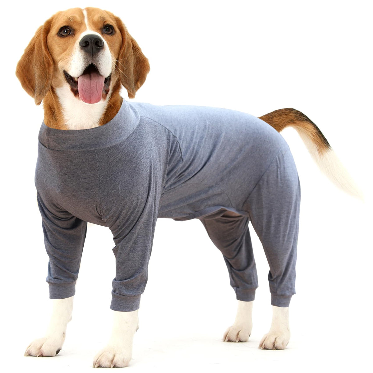 Dotoner dog recovery suit abdominal wound shields surgical sites for safer post-op comfort.