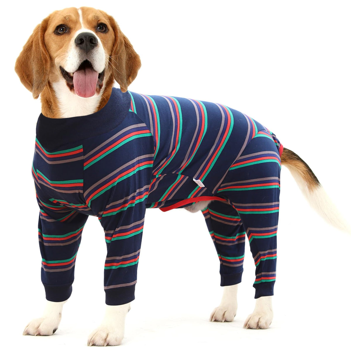 Dotoner dog recovery suit blue worn by small dog for post-surgery comfort