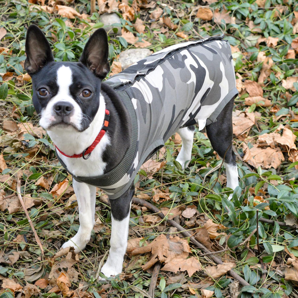 Dotoner dog recovery suit camouflage XXL multi-pet fit for cats and small mammals.