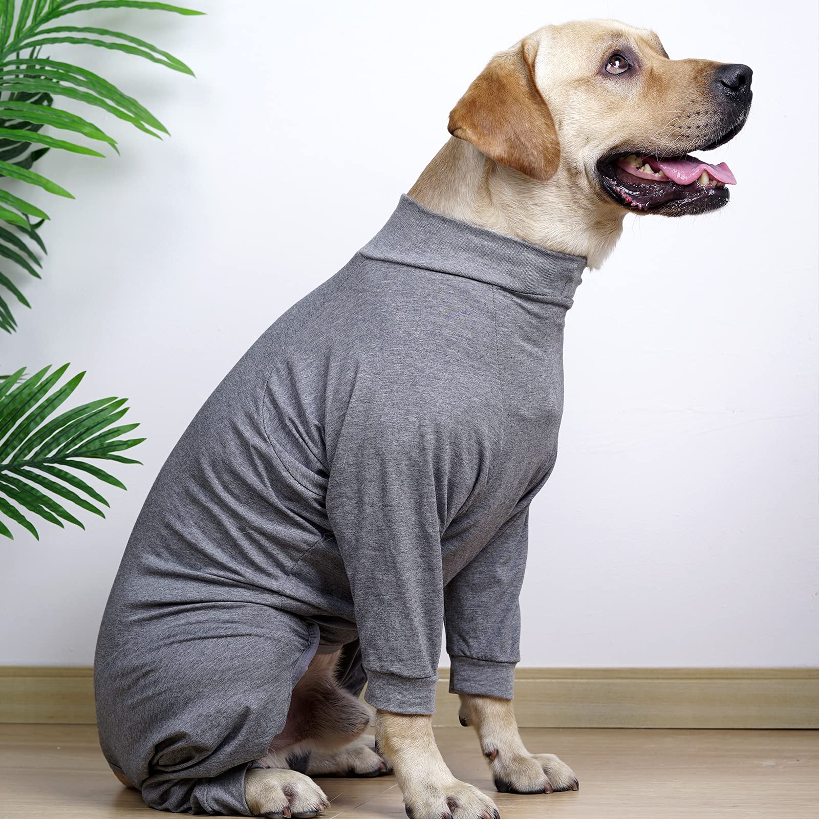 Dotoner recovery suit on a dog shows comfortable, flexible post-op wear.