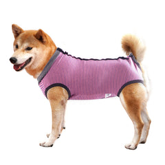 Dotoner dog recovery suit pink protecting abdominal wound during recovery