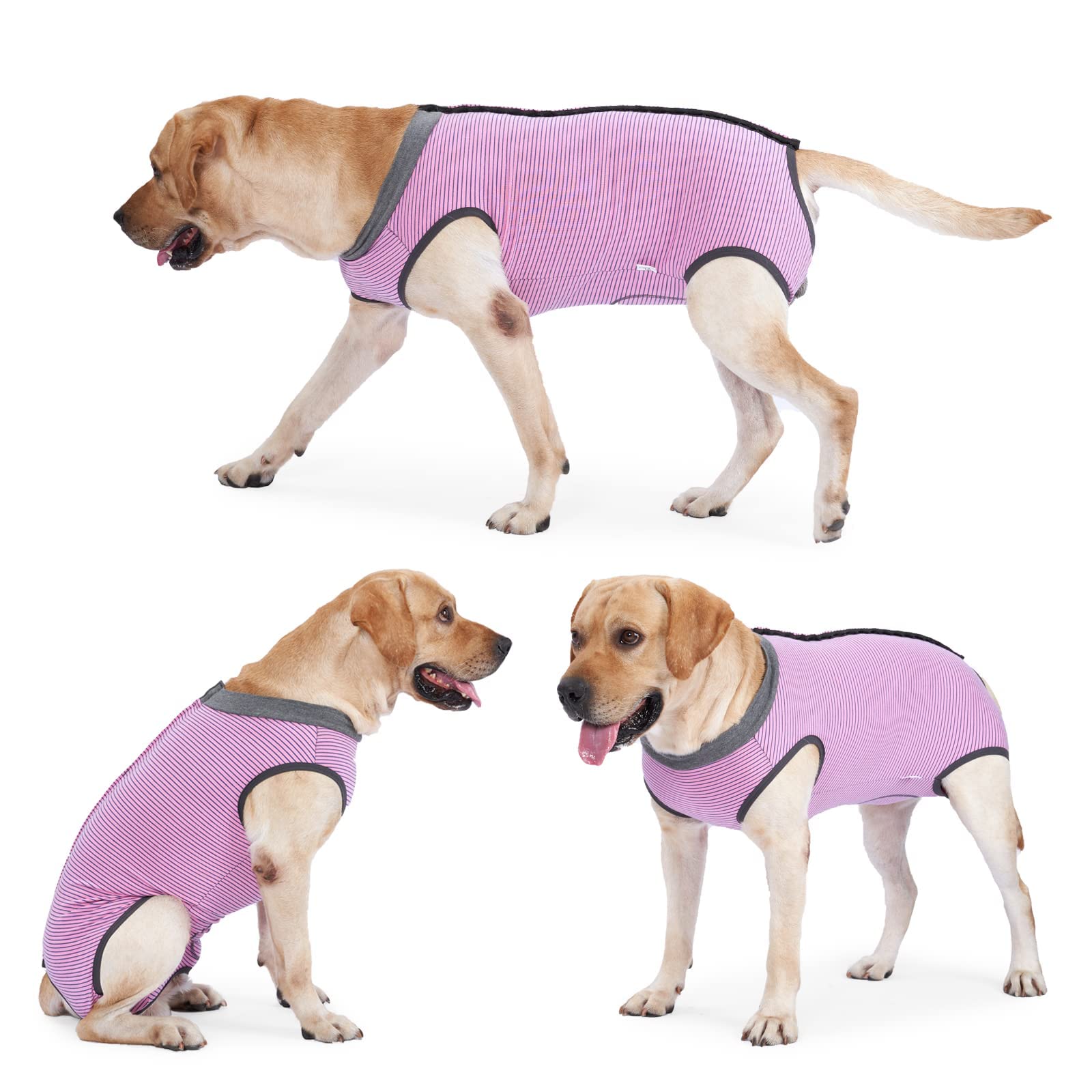 Dotoner dog recovery suit pink worn during meals and daily activity
