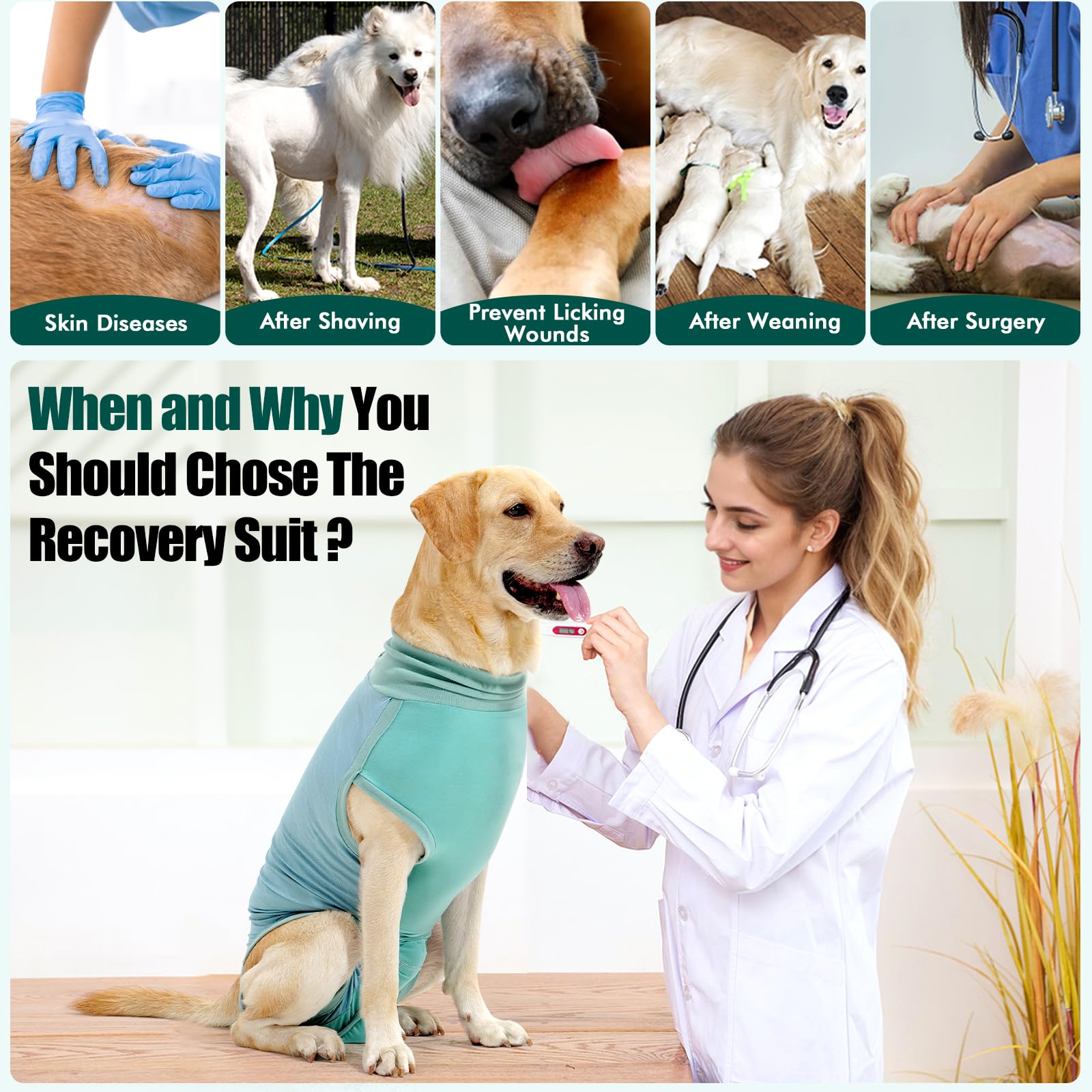 Dotoner dog recovery suit side view highlights breathable fabric for active, day-to-day comfort
