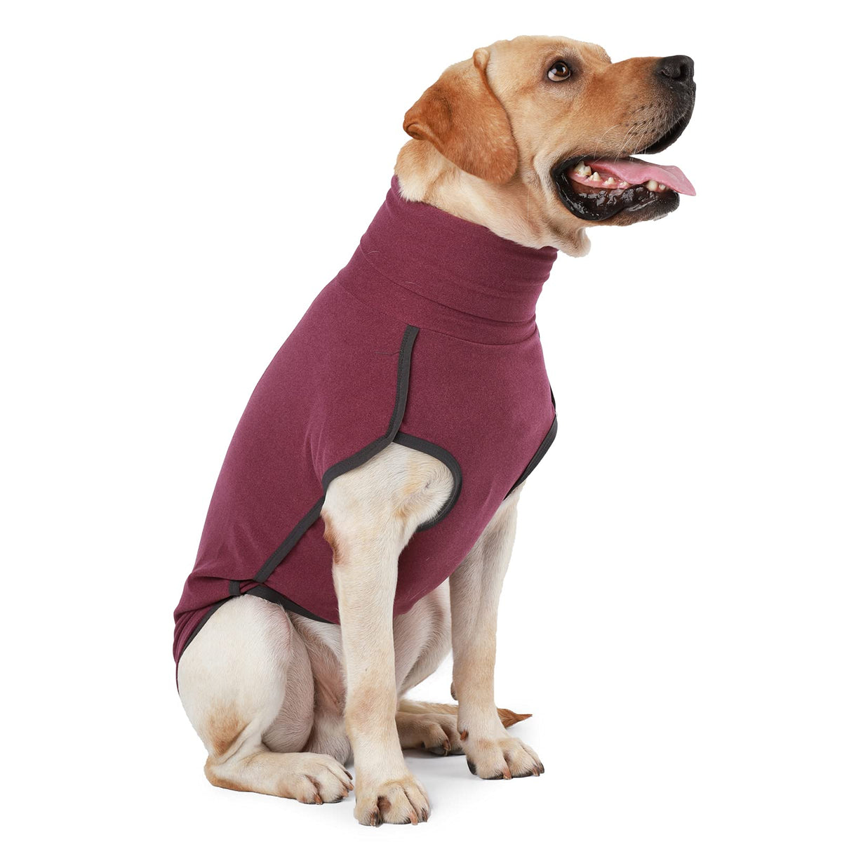 Dotoner dog sweater pullover wine red close-up showing cozy knit warmth for outdoor walks