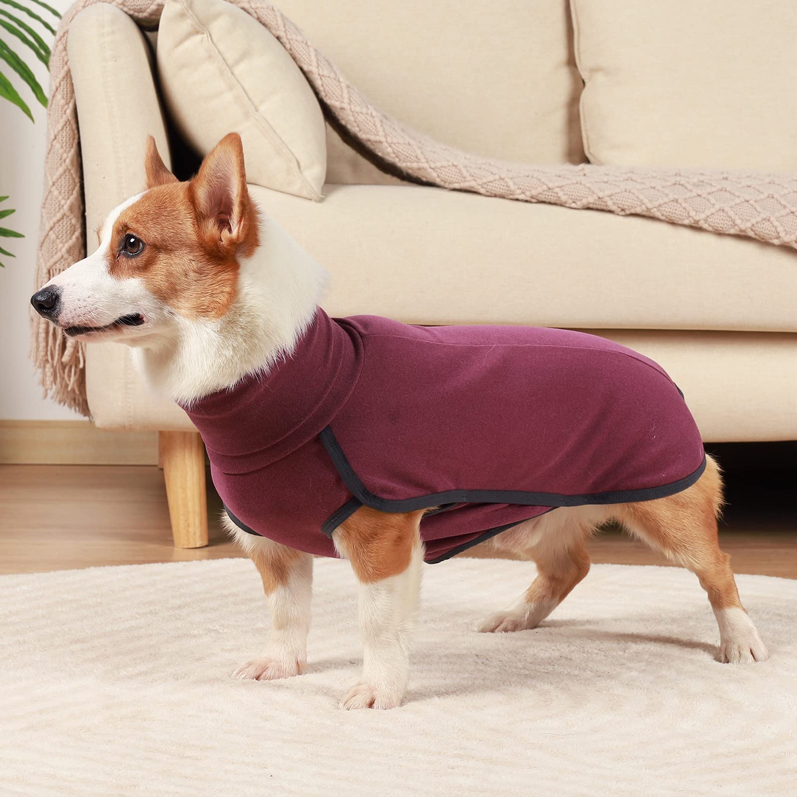 Dotoner dog sweater size guide-fitting aids choosing the right fit for comfort