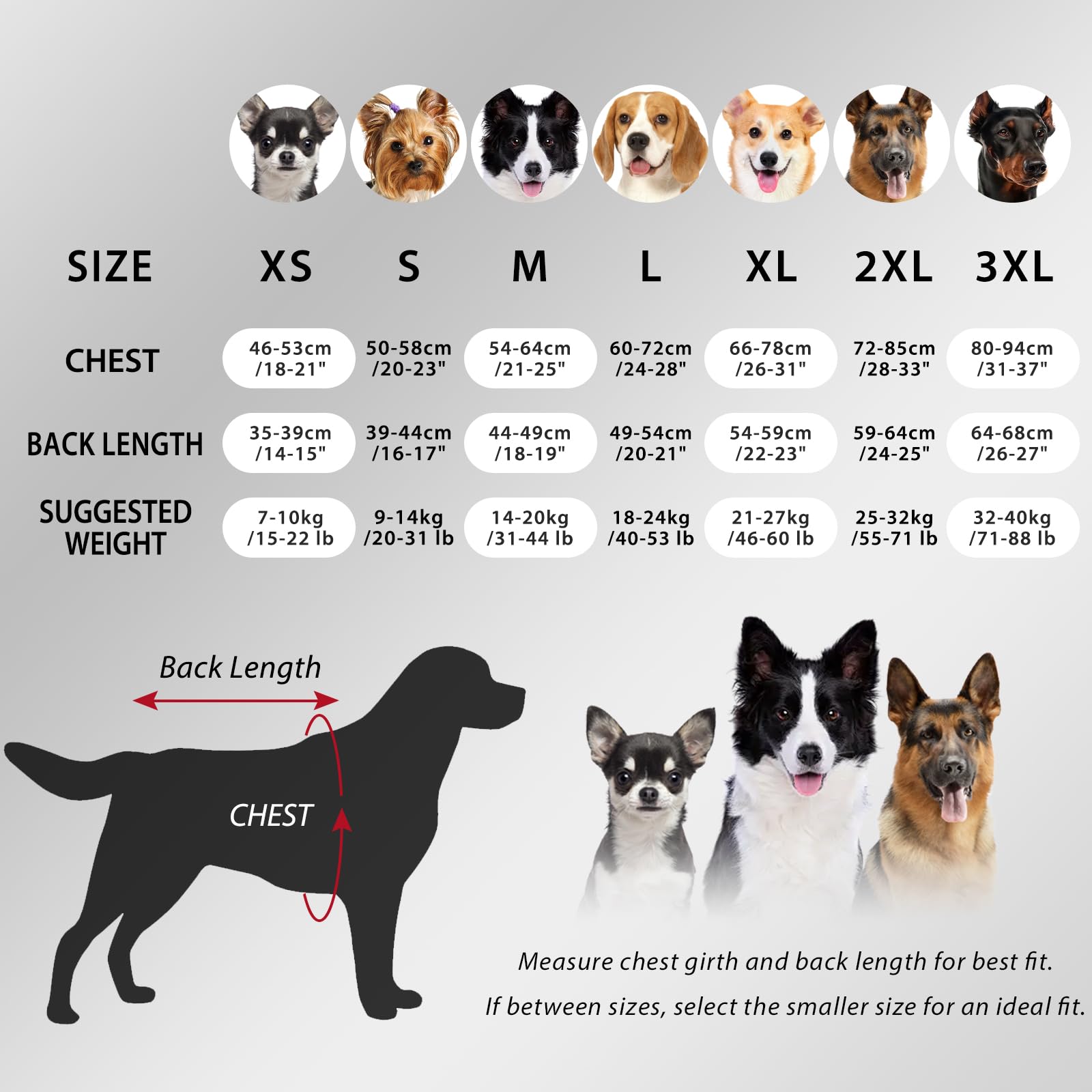 Dotoner dog sweater waterproof back protects against light rain.