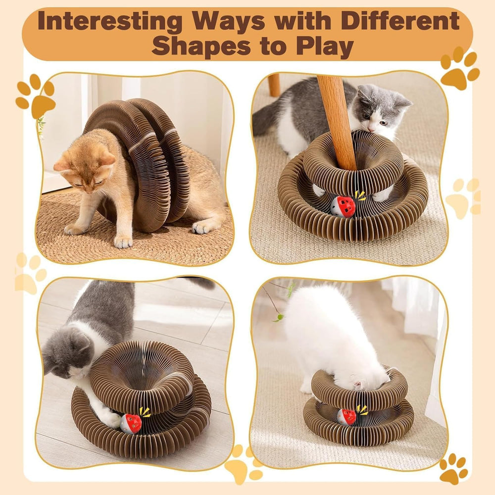 DoubleCare Magic Organ bed-form scratcher offers a cozy resting spot during play.