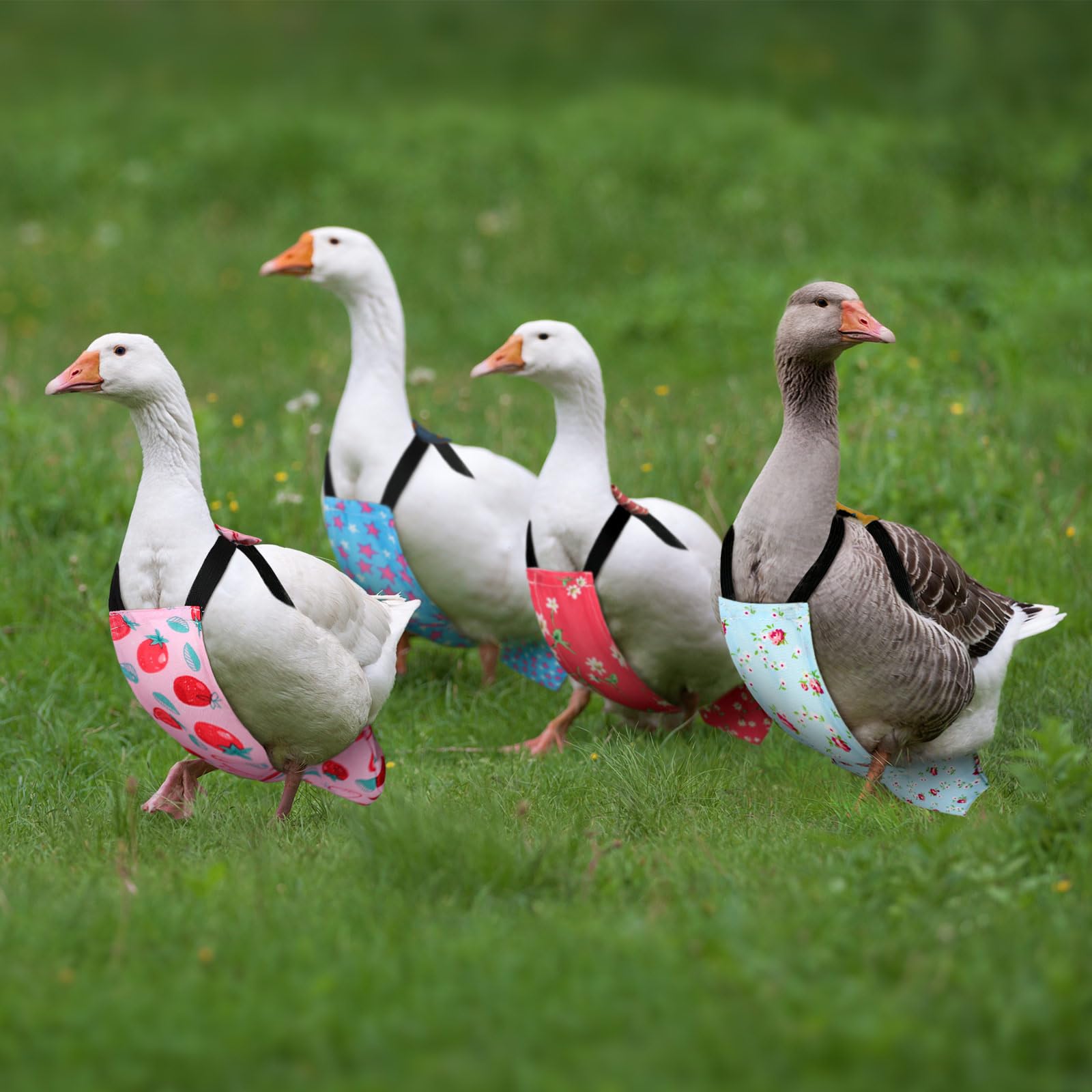 DoubleFill bow-tie diapers on a chicken illustrate stylish, secure fit.