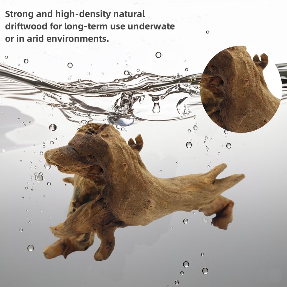 DoubleWood driftwood aquarium branch 6-8 inch provides drama and hiding areas