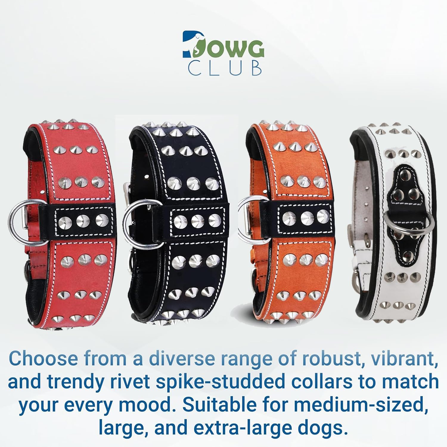 DowgClub 2-inch wide collar with five holes ensures secure fit