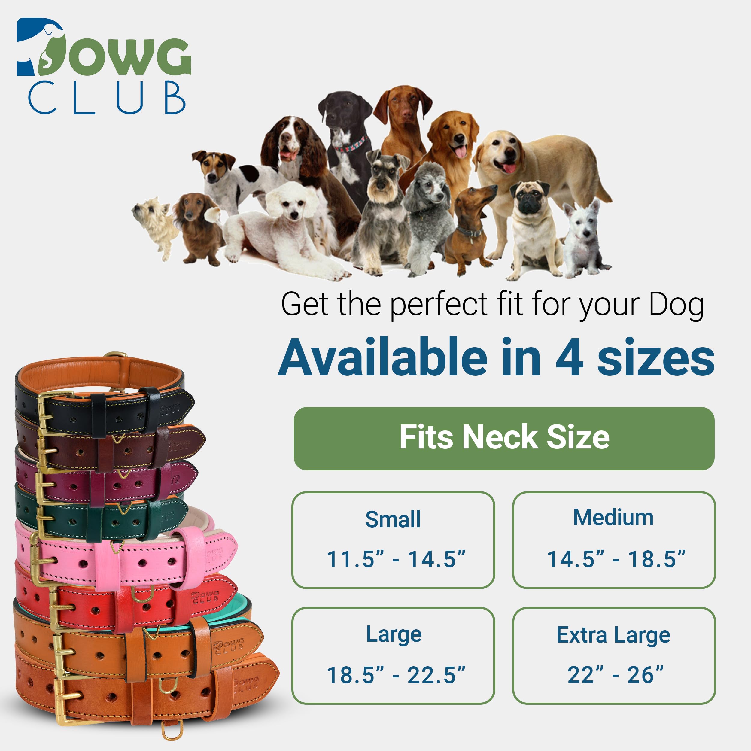 DowgClub adjustable-five-six-hole collar fits growing dogs securely