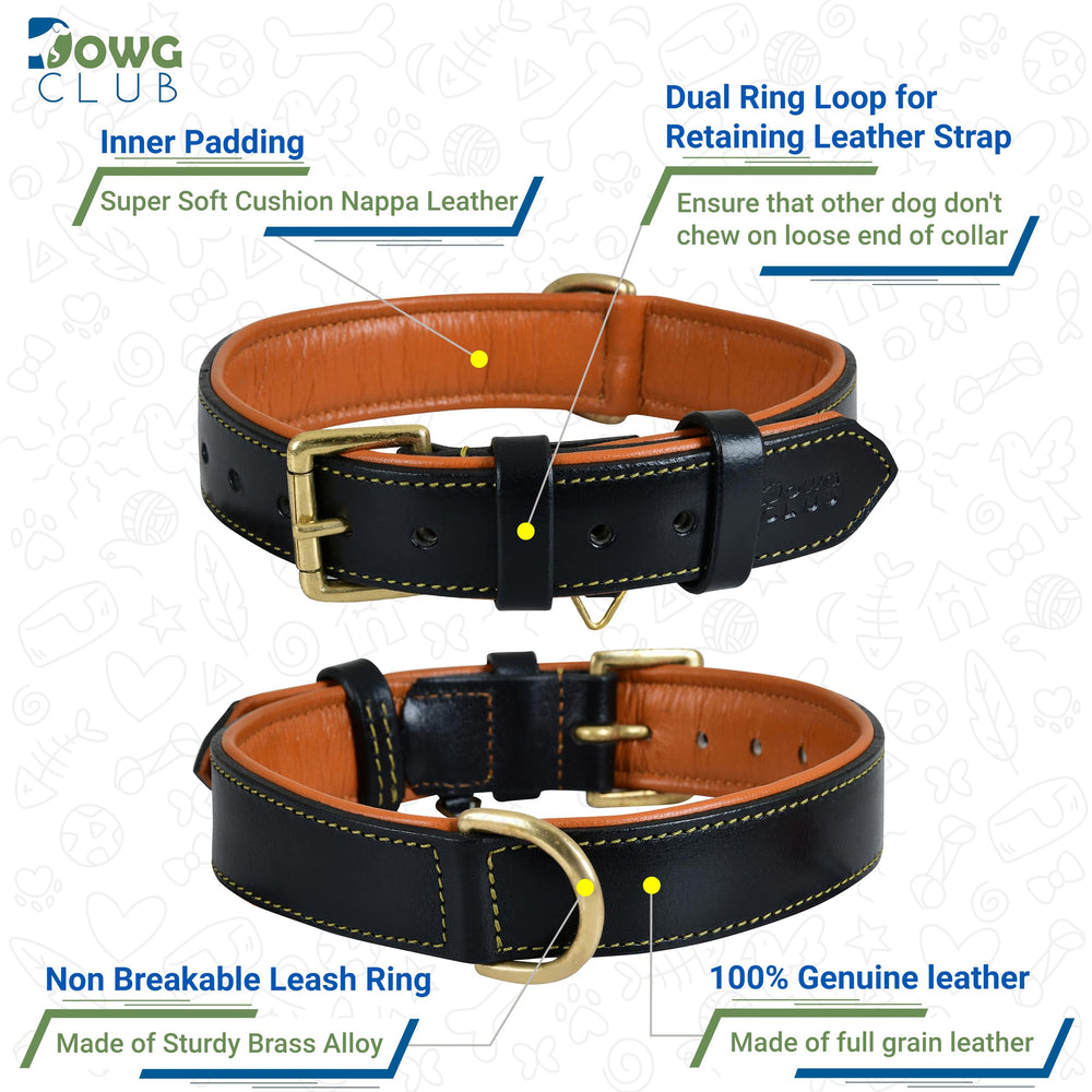 DowgClub brass hardware detail—sturdy buckle and D-ring resist rust during daily use.