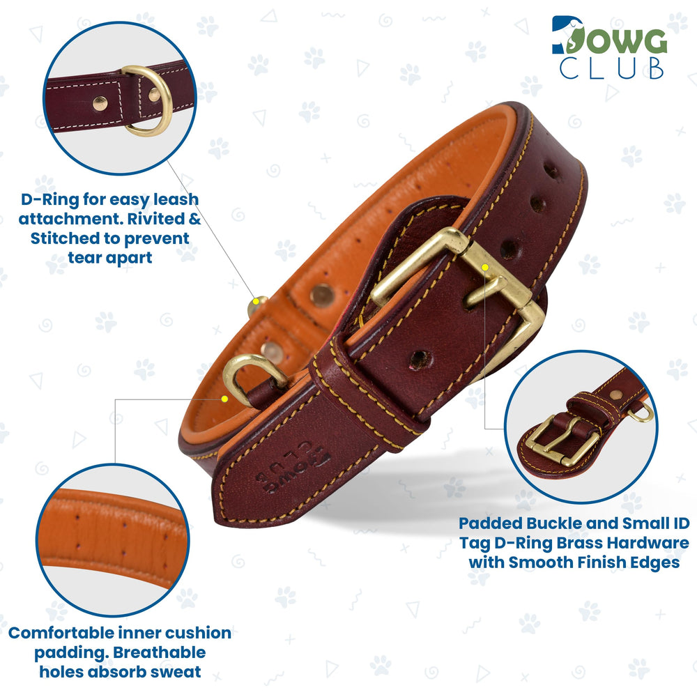 DowgClub collar side with breathable inner padding for cooling comfort