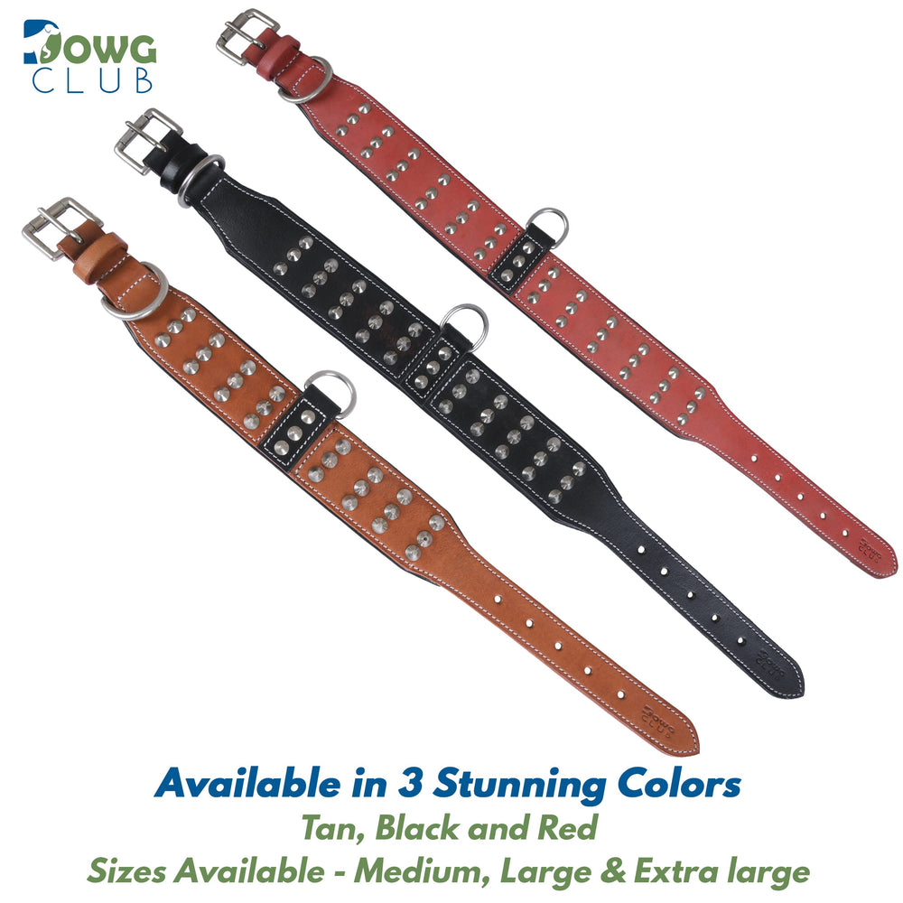 DowgClub collar options in black, red, brown, white for versatile style
