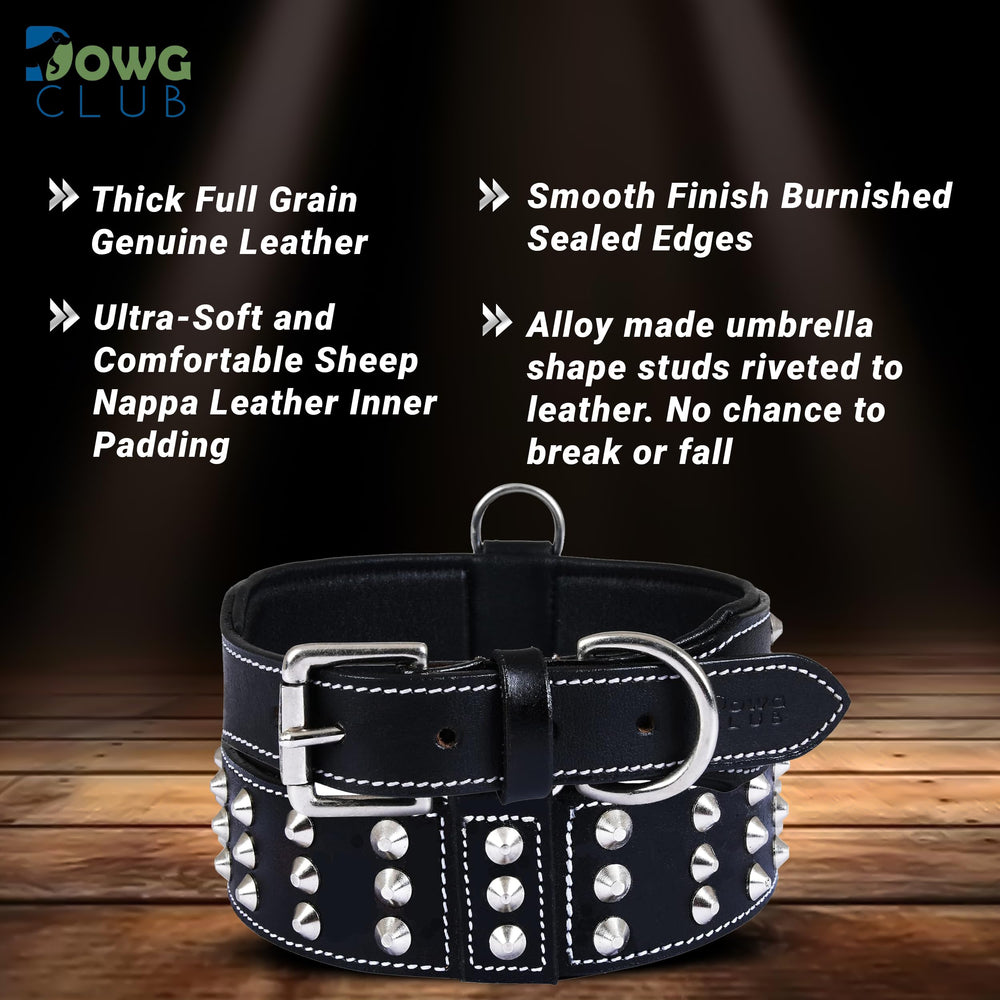 DowgClub full-grain leather with padding for all-day comfort during walks