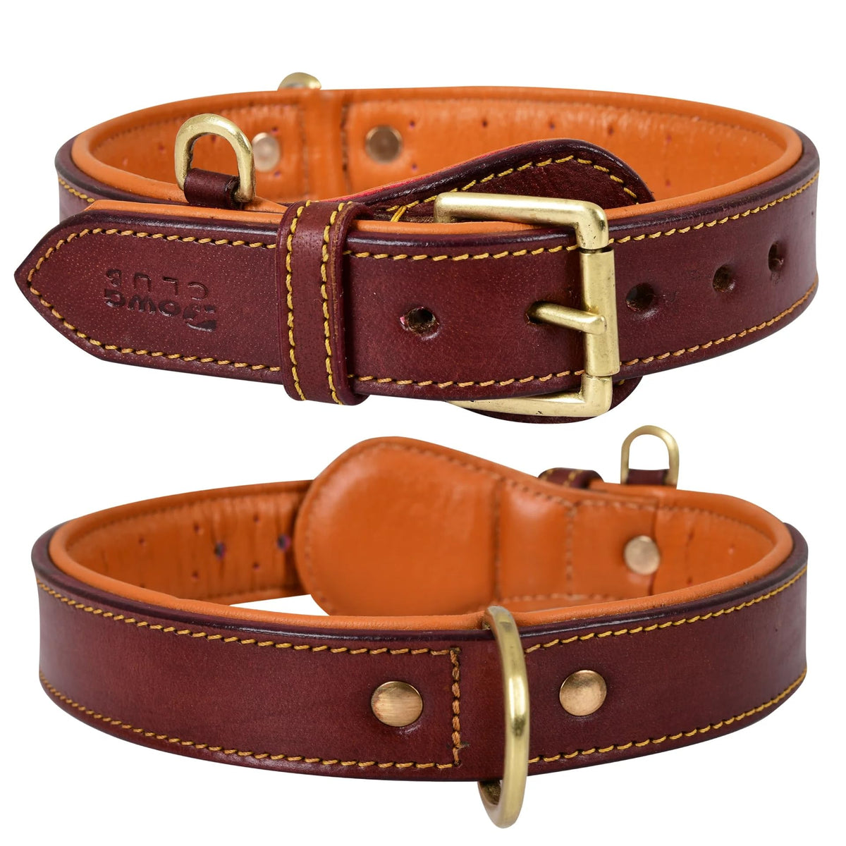 DowgClub genuine leather dog collar front view shows durable daily wear