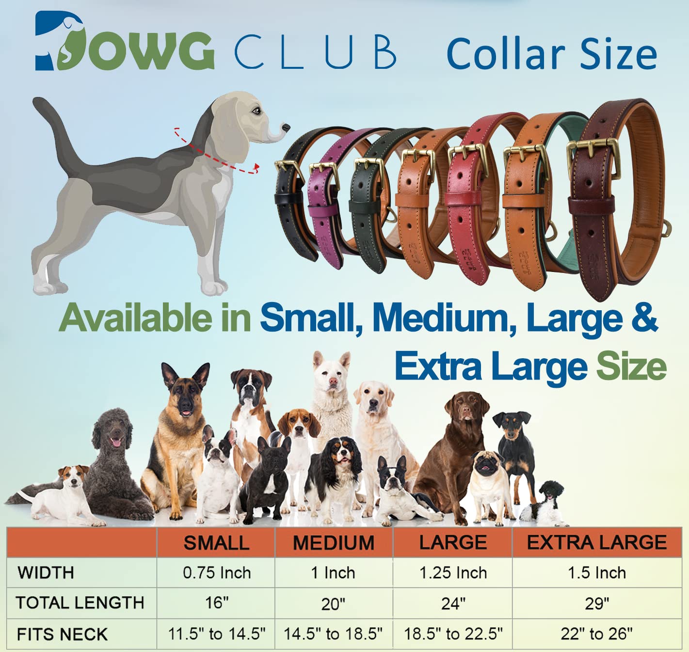 DowgClub gold bone decoration detail adds stylish flair for walks and photos.