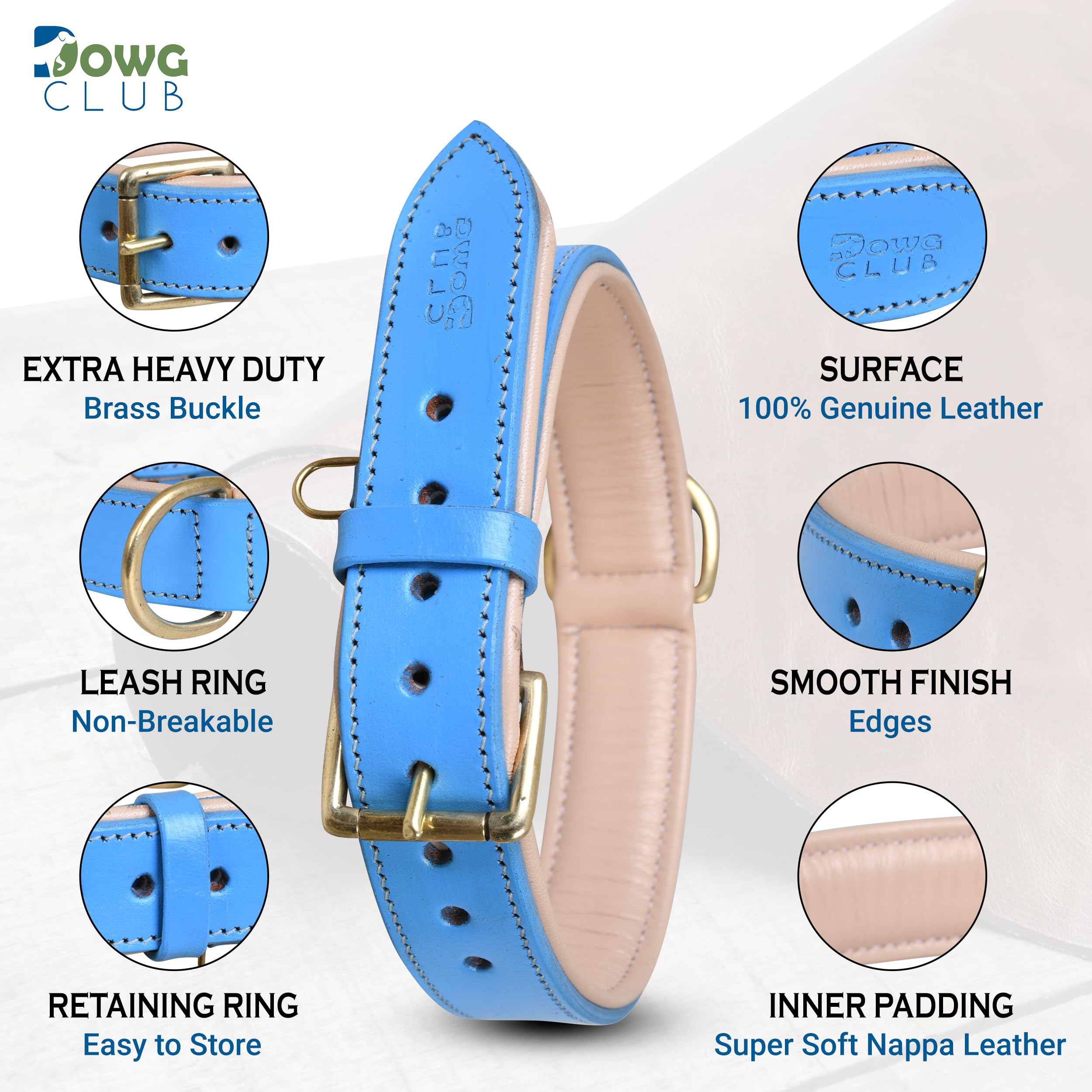 DowgClub leather dog collar blue buckle detail shows reinforced hardware for secure leash attachment.