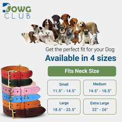 DowgClub leather dog collar blue D-ring and tag illustrates convenient ID access.