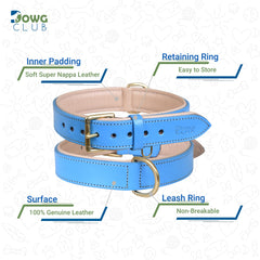 DowgClub leather dog collar blue inner padding closeup emphasizes soft, comfortable wear.