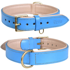 DowgClub leather dog collar blue side view highlights durable construction for daily walks.