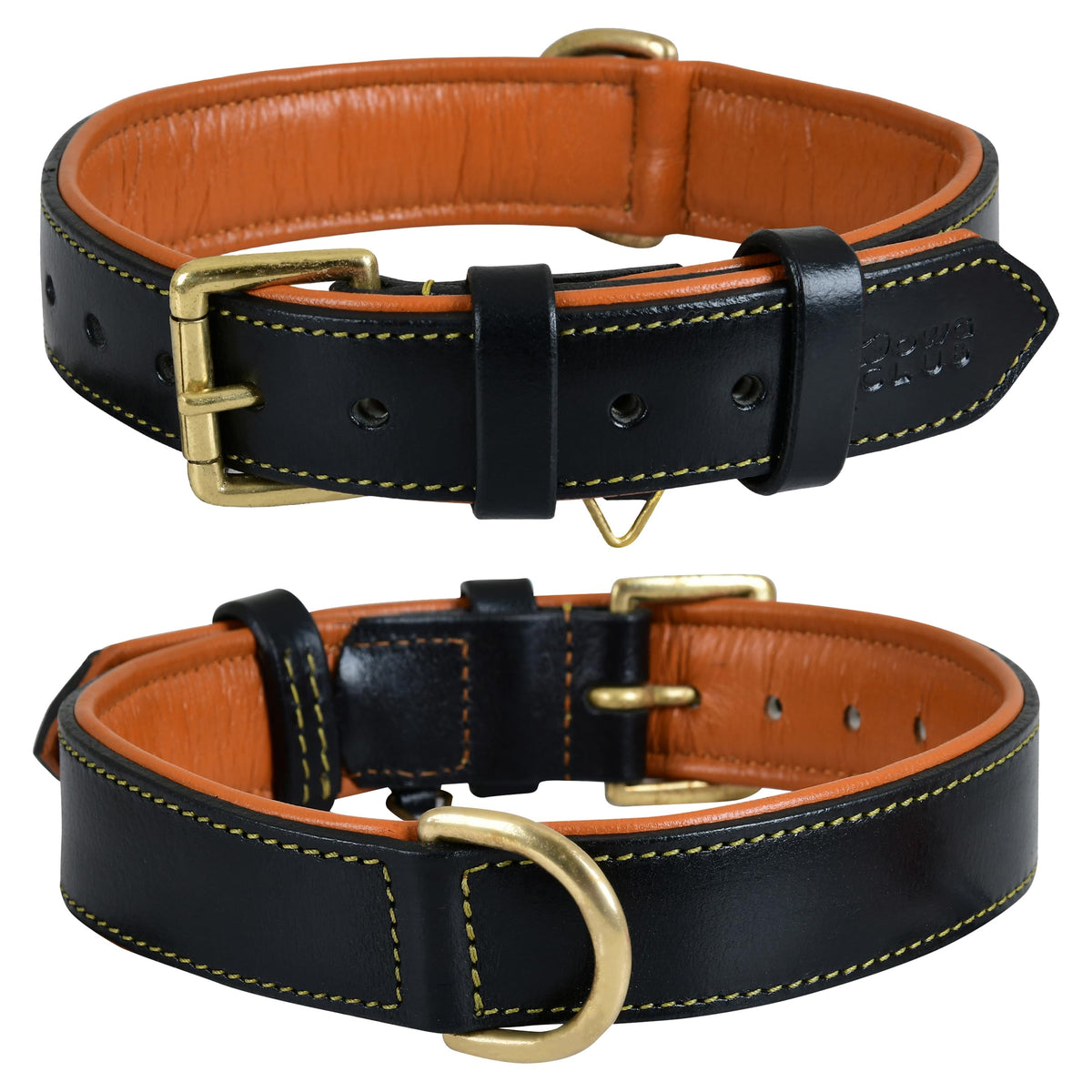DowgClub leather dog collar closeup—durable full-grain leather for daily wear.