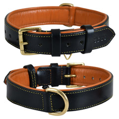 DowgClub leather dog collar closeup—durable full-grain leather for daily wear.