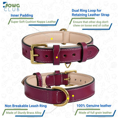 DowgClub collar interior with waterproof padding for neck comfort during walks