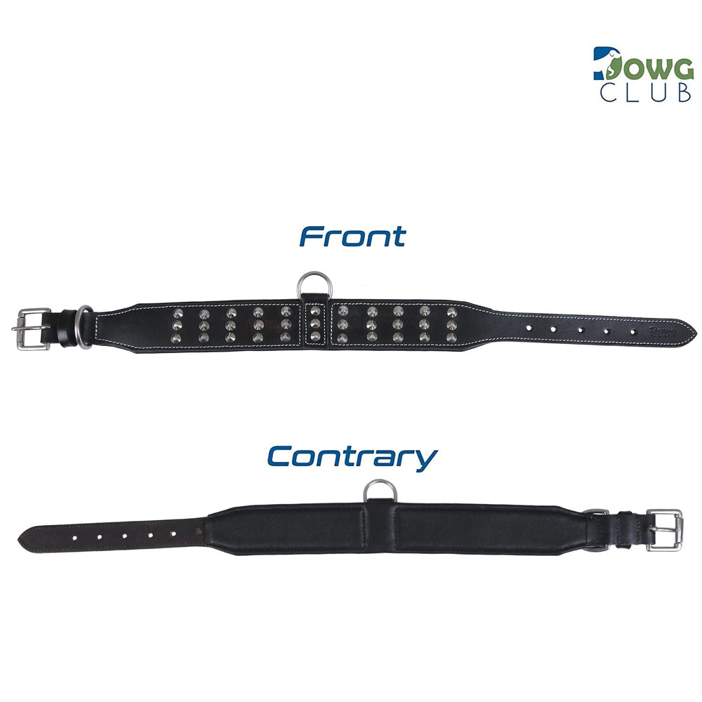 DowgClub collar hardware is military-grade and rust-resistant for long-lasting use