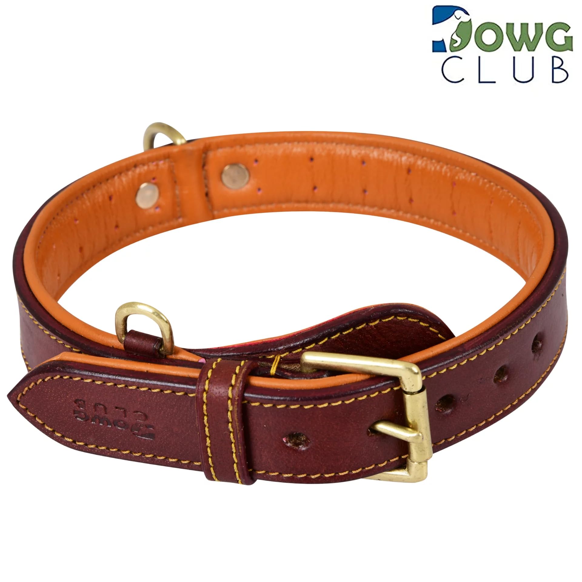 DowgClub premium gift box collar ready for gifting