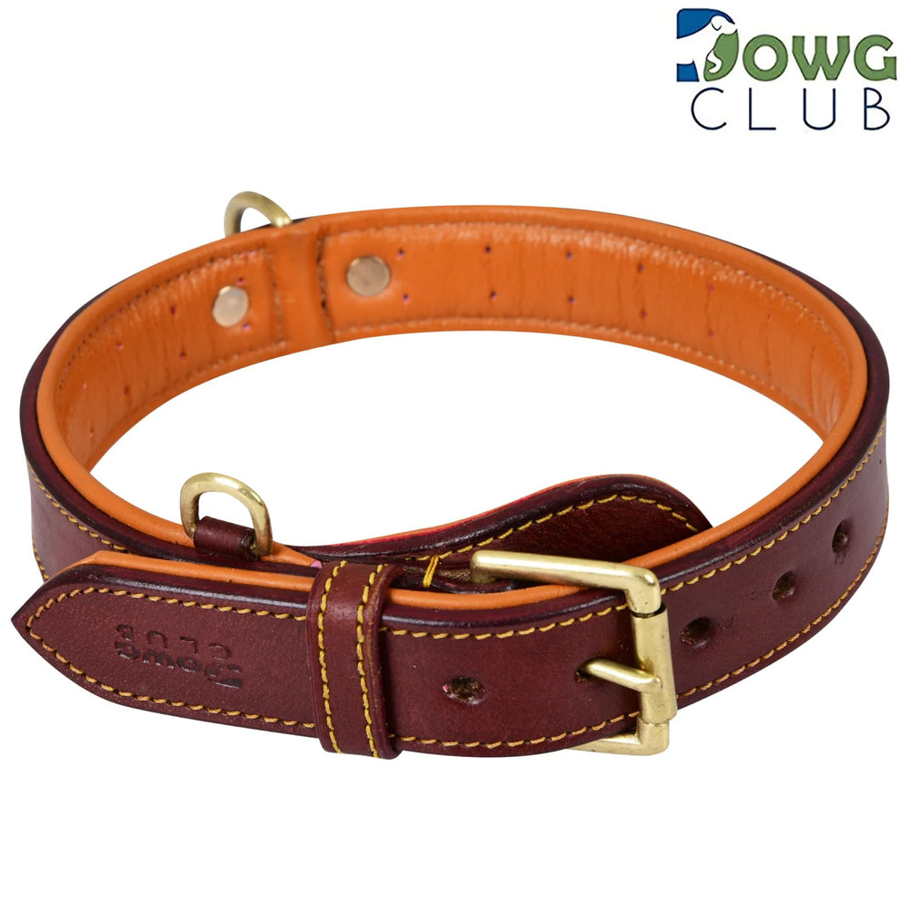DowgClub premium gift box collar ready for gifting
