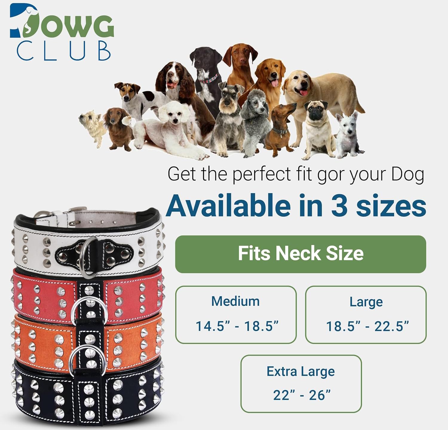 DowgClub triple-row nickel-plated rivets add rugged style and protection