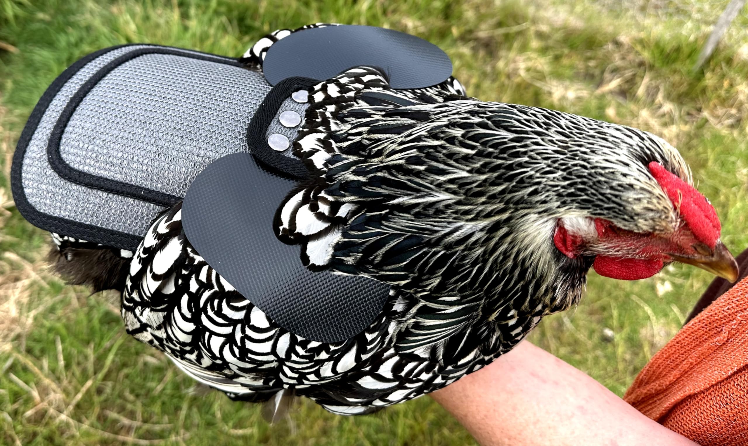DOWN UNDER OUTDOORS feather protection apron supports feather recovery without isolation