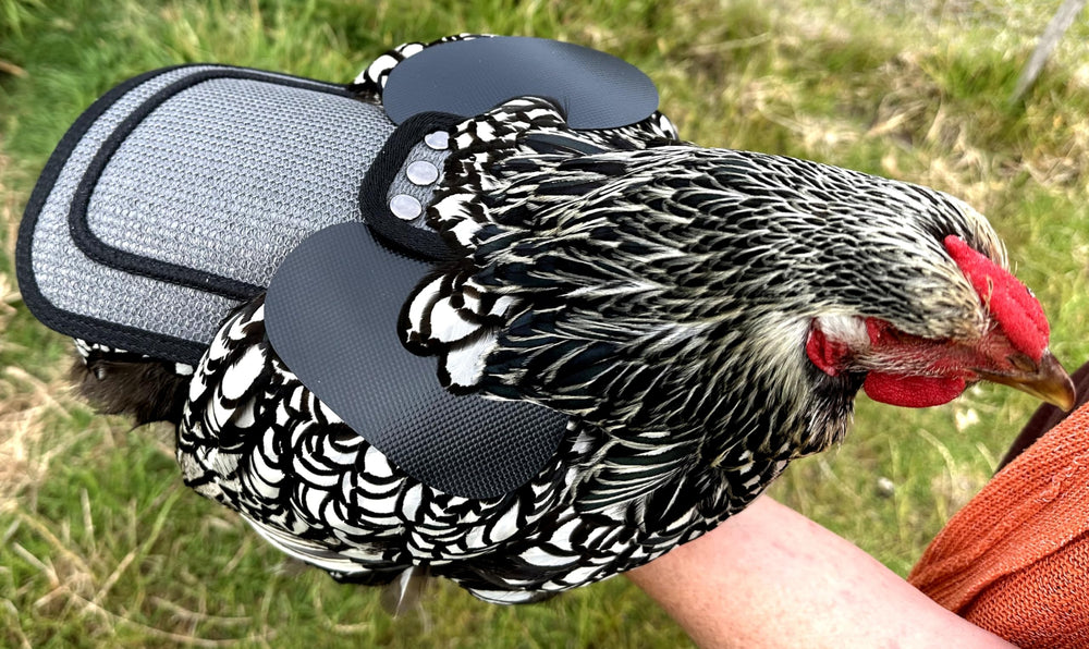 DOWN UNDER OUTDOORS feather protection apron supports feather recovery without isolation