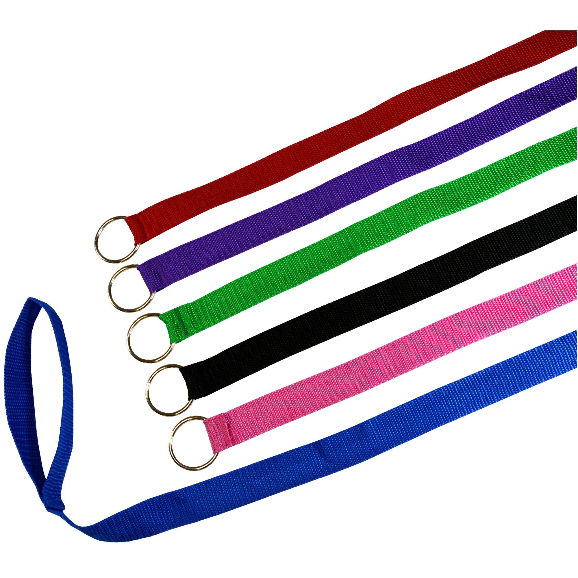 Downtown Pet Supply 6ft kennel slip lead on a dog for quick secure transitions during handling.