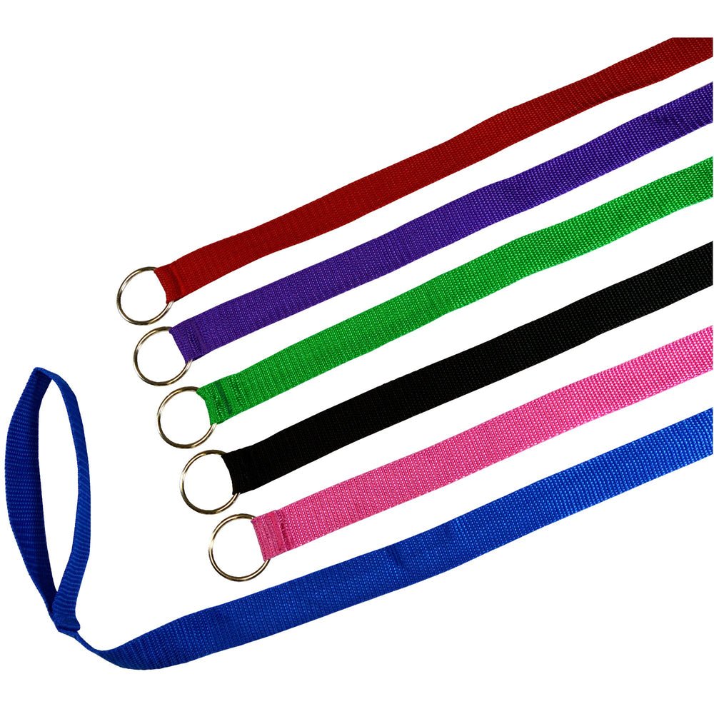 Downtown Pet Supply 6ft kennel slip lead on a dog for quick secure transitions during handling.
