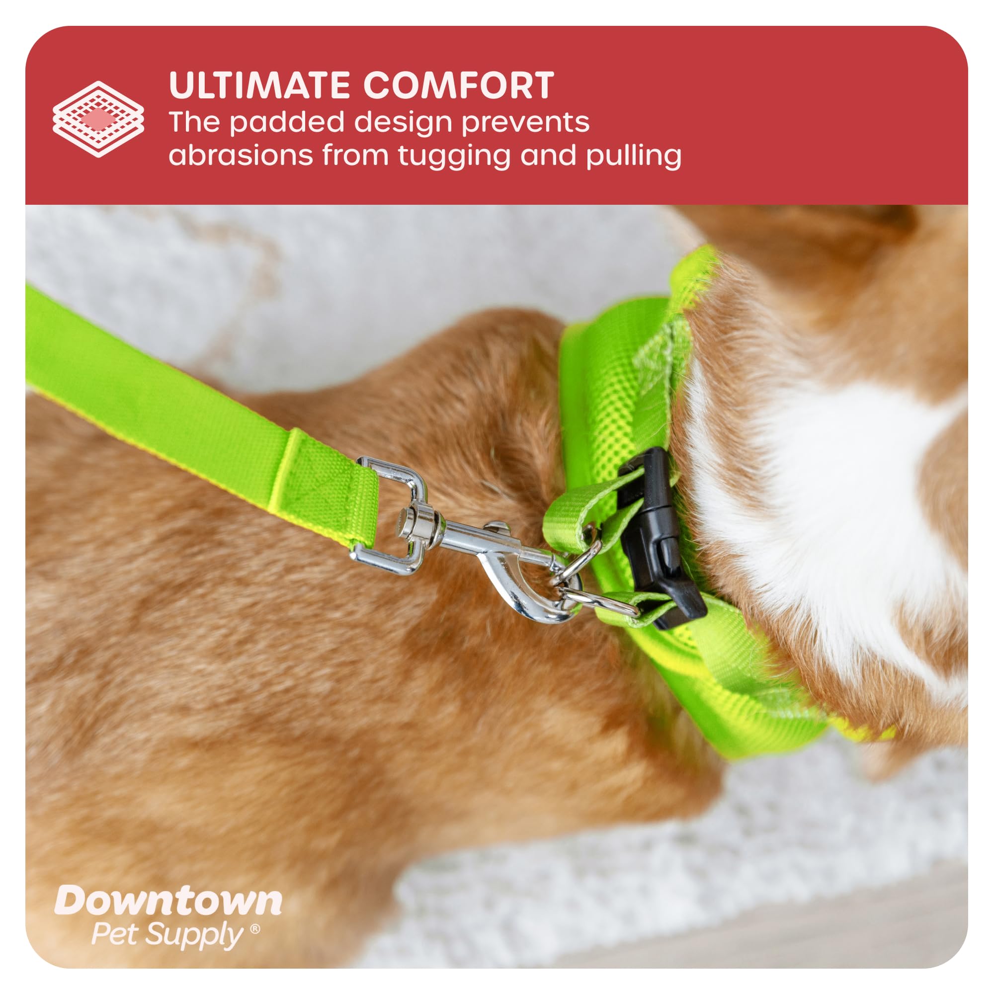 Downtown Pet Supply all-weather padded-mesh closeup demonstrates quick-dry fabric.