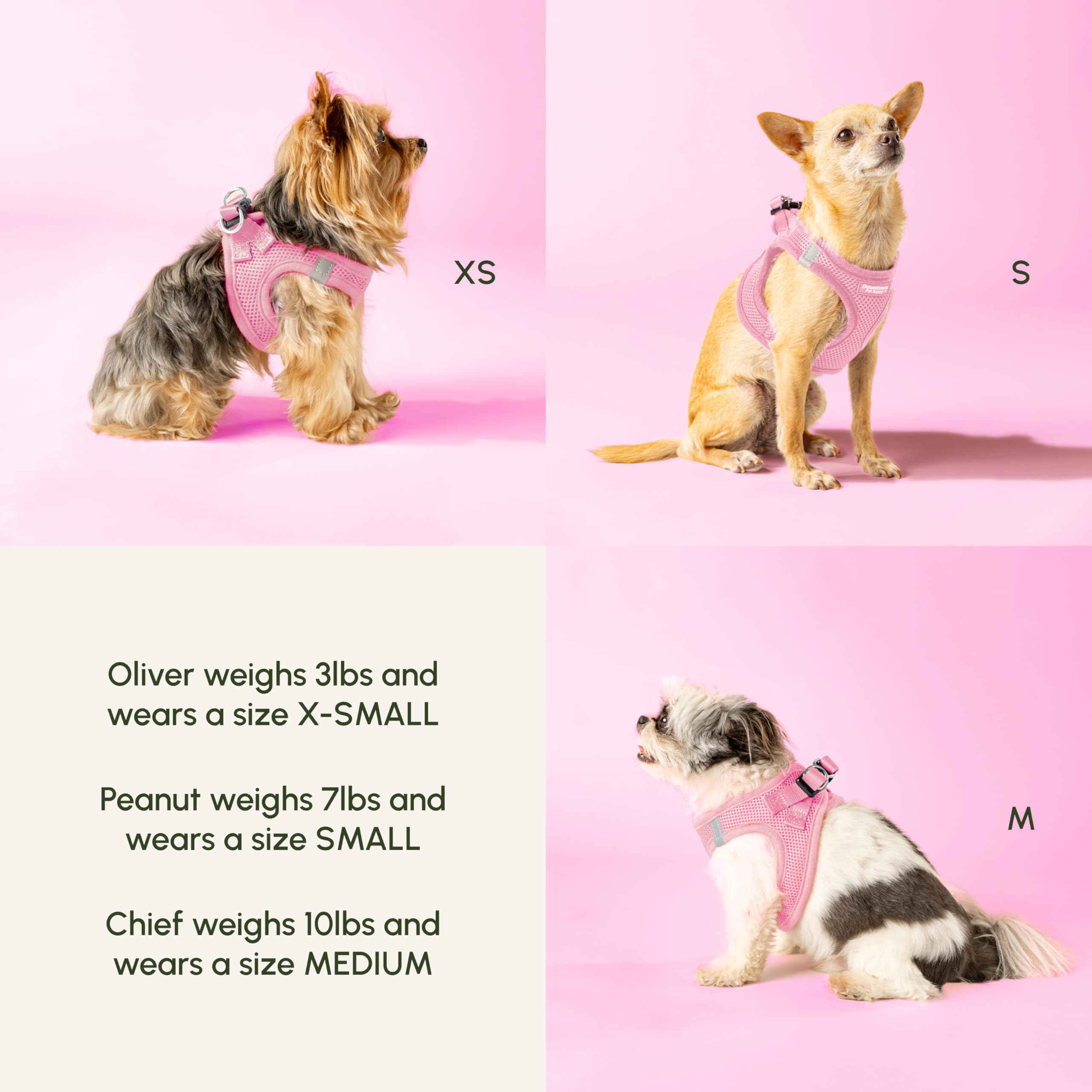 Downtown Pet Supply baby-pink small-dog harness showing breathable padding and secure fit.