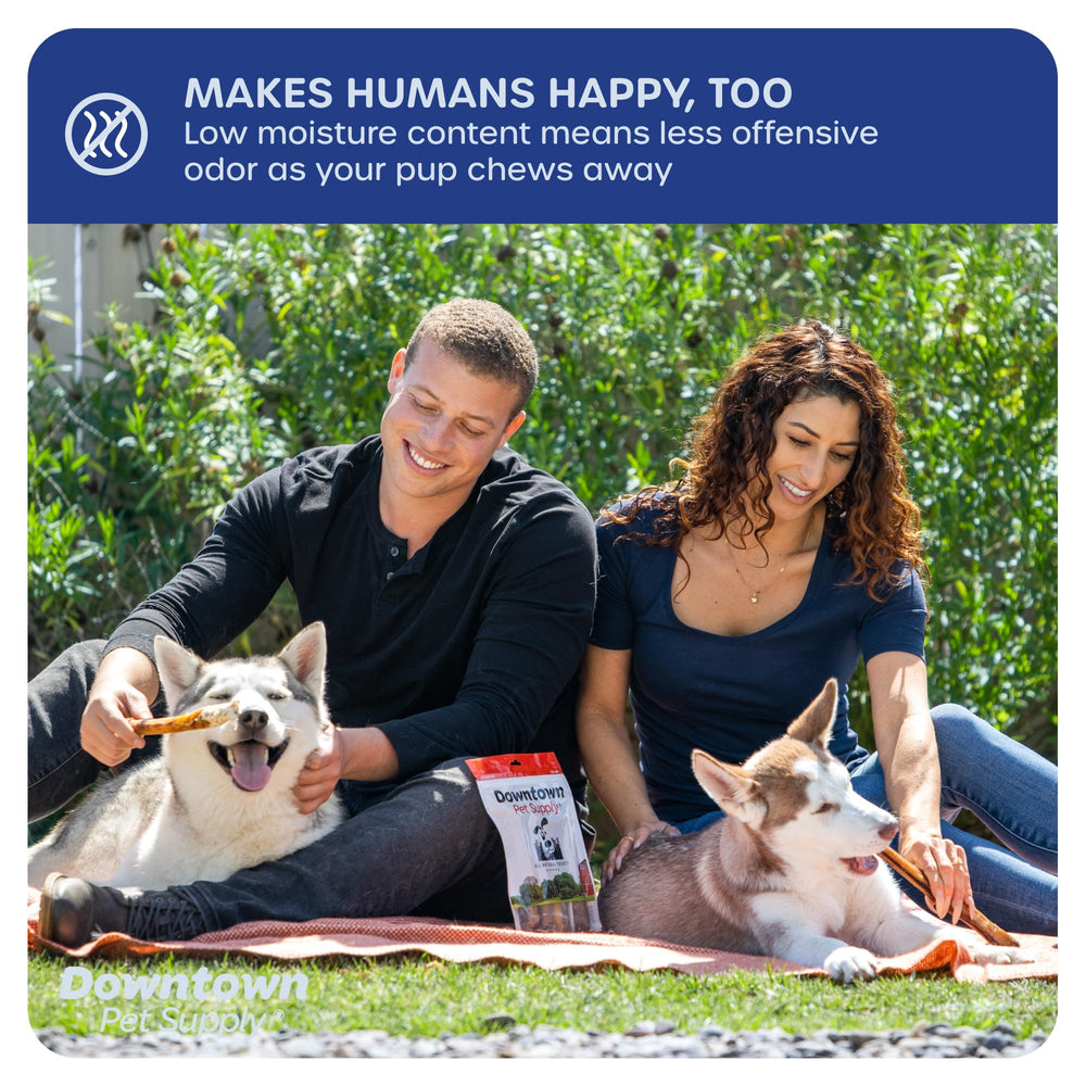 Downtown Pet Supply 3lb portion image, bulk chew for multi-dog households.