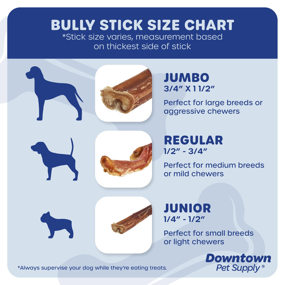 Downtown Pet Supply bully-stick 6in dog-chewing scene, supports natural chewing instinct and dental care.