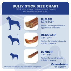 Downtown Pet Supply bully-stick 6in dog-chewing scene, supports natural chewing instinct and dental care.