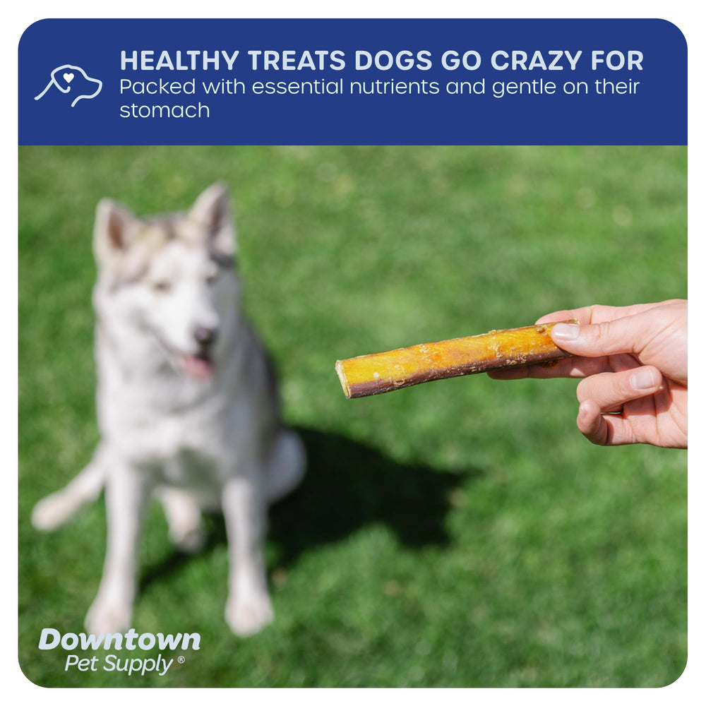 Downtown Pet Supply USA-made bully stick, reliability and safety highlighted in label.