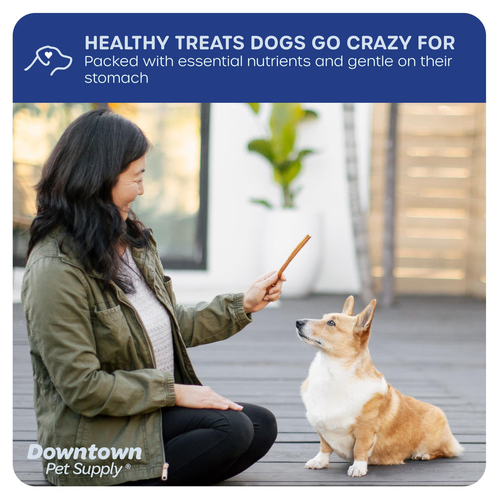 Downtown Pet Supply bully sticks non-splintering texture, closeup highlights durability and safety.