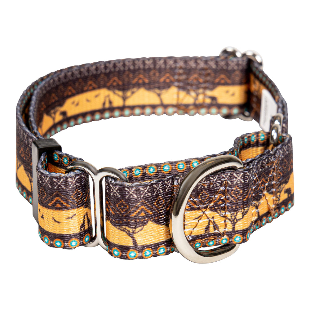 Downtown Pet Supply collar martingale dino, ideal para perros que tiran durante entrenamientos