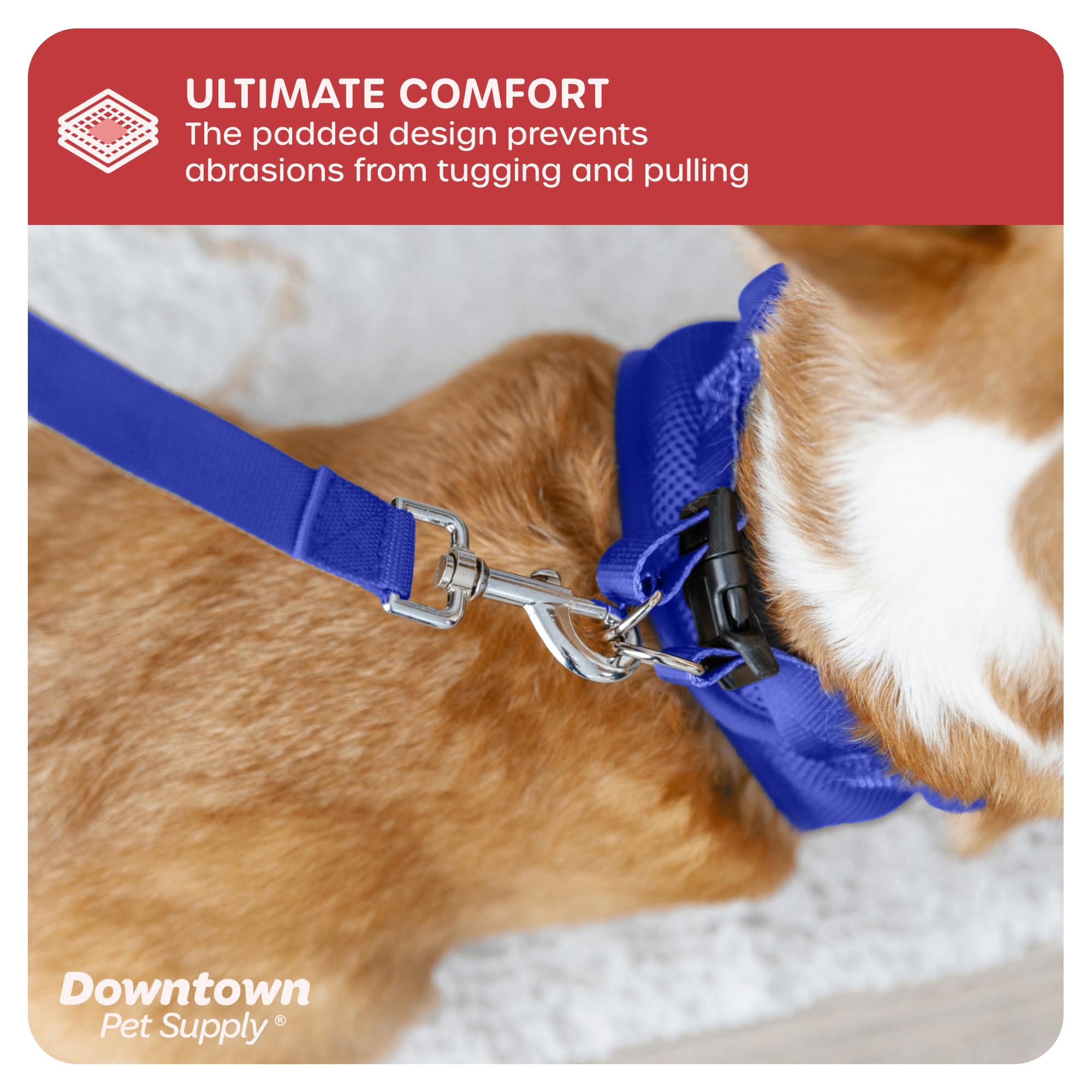 Downtown Pet Supply Dog Walk setup safety image shows quick-release buckle in action